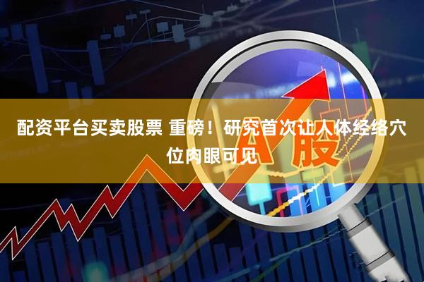 配资平台买卖股票 重磅！研究首次让人体经络穴位肉眼可见