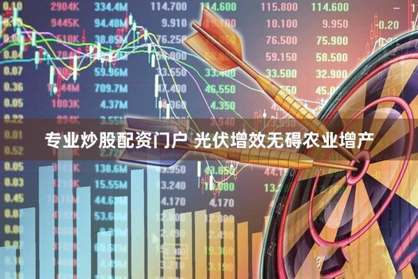 专业炒股配资门户 光伏增效无碍农业增产
