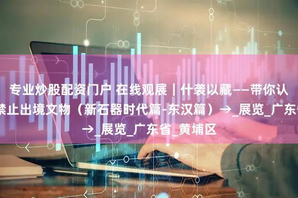 专业炒股配资门户 在线观展｜什袭以藏——带你认识195件禁止出境文物（新石器时代篇-东汉篇）→_展览_广东省_黄埔区