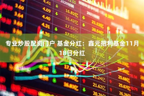 专业炒股配资门户 基金分红：鑫元招利基金11月18日分红