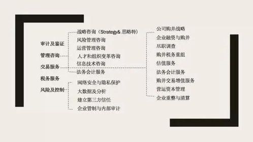 四大咨詢之外 信息技術咨詢服務的優勢與機遇